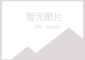 洪湖夏岚化学有限公司